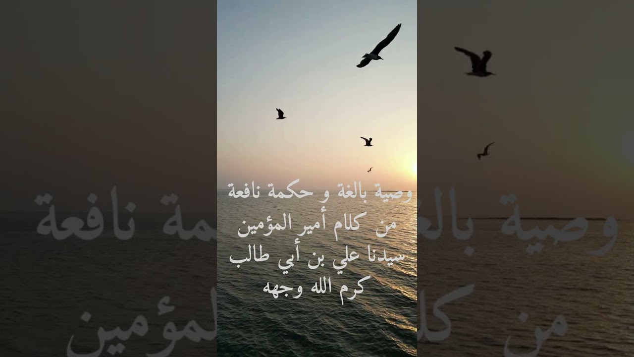 وصية عظيمة من سيدنا علي بن أبي طالب كرم الله وجهه الى أبناءه