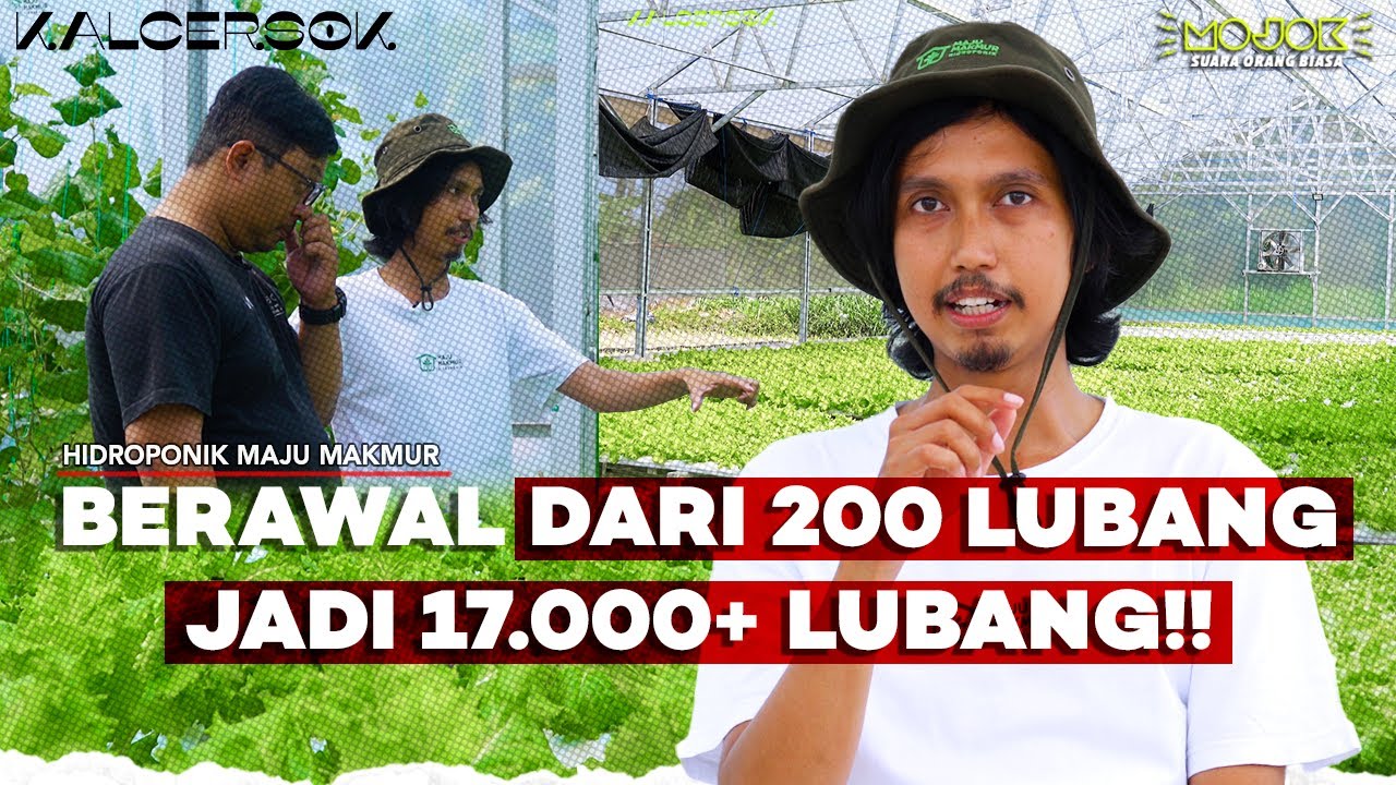 PERUSAHAAN SAYUR HIDROPONIK YANG BERMULA DARI KAMAR KOS-KOSAN‼️ - Kalcersok