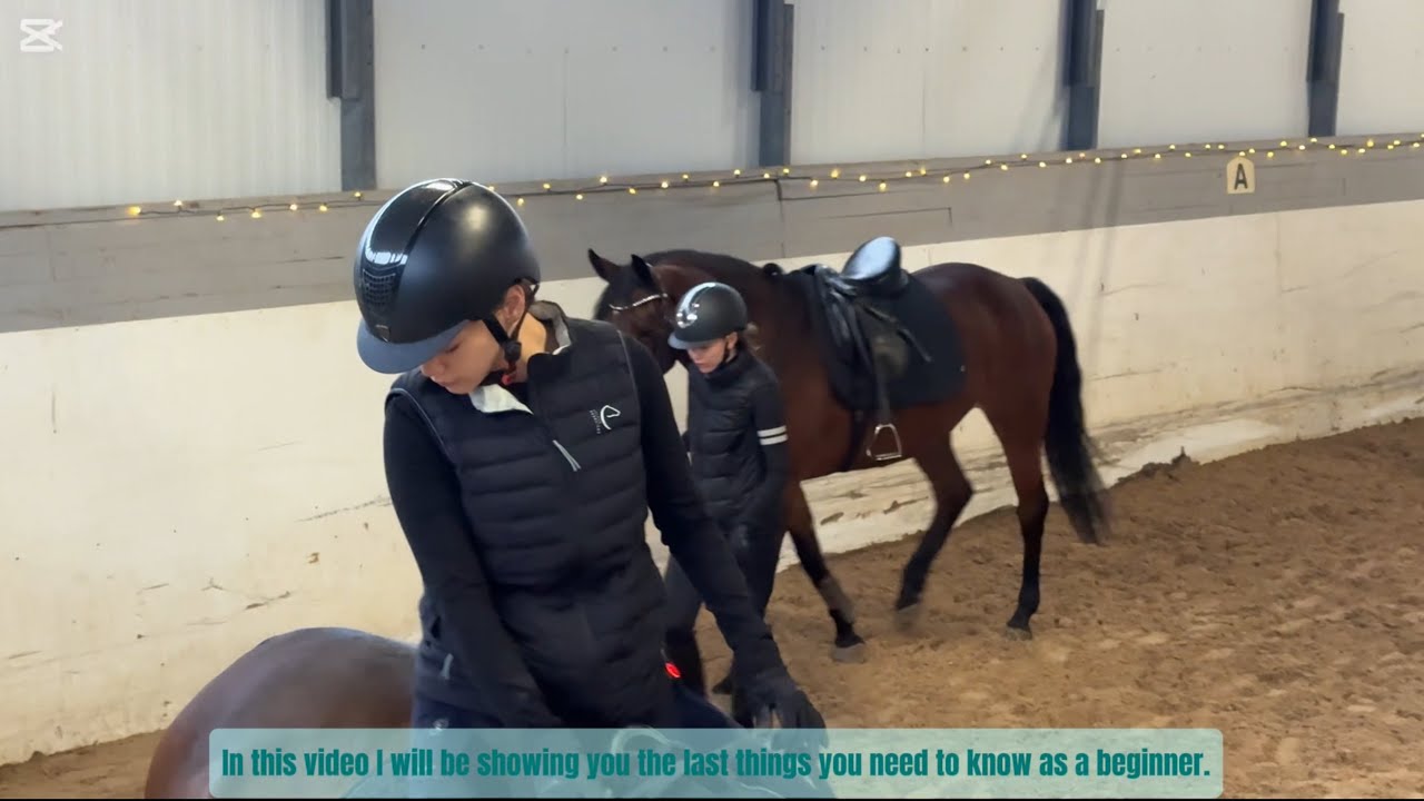 PART 3: Come with me on how to start horseback riding as a beginner!! RIDE the horse
