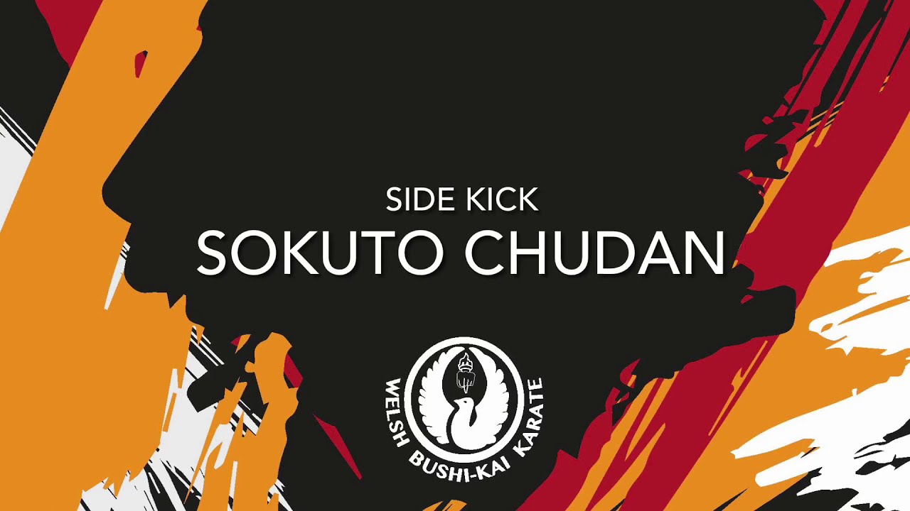 Sokuto Chudan