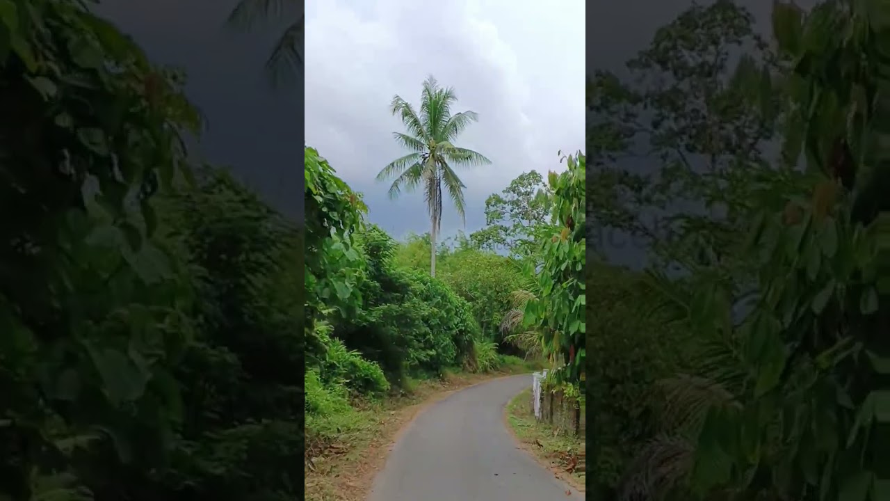 Perjalanan Menuju Pakandangan 