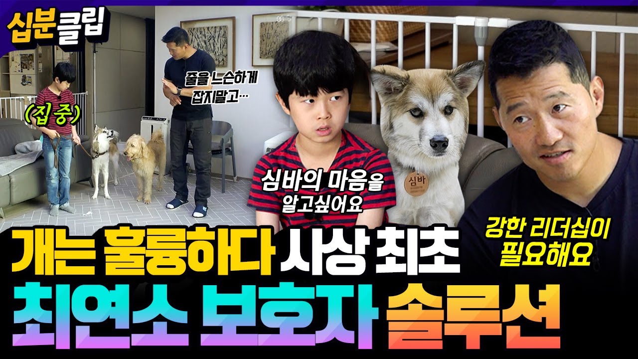 [#십분클립] 어린이 보호자를 위협하는 시각장애犬 등장🐶 개훌륭 최초, 강형욱의 최연소 보호자 솔루션 개시✨️ #개는훌륭하다 ㅣ KBS방송