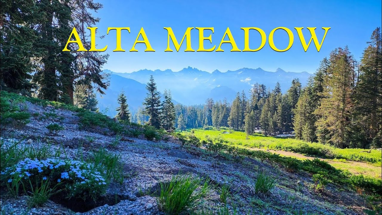 Solo Backpacking Sequoia National Park: Merhten Meadow - Alta Meadow - Alta Peak
