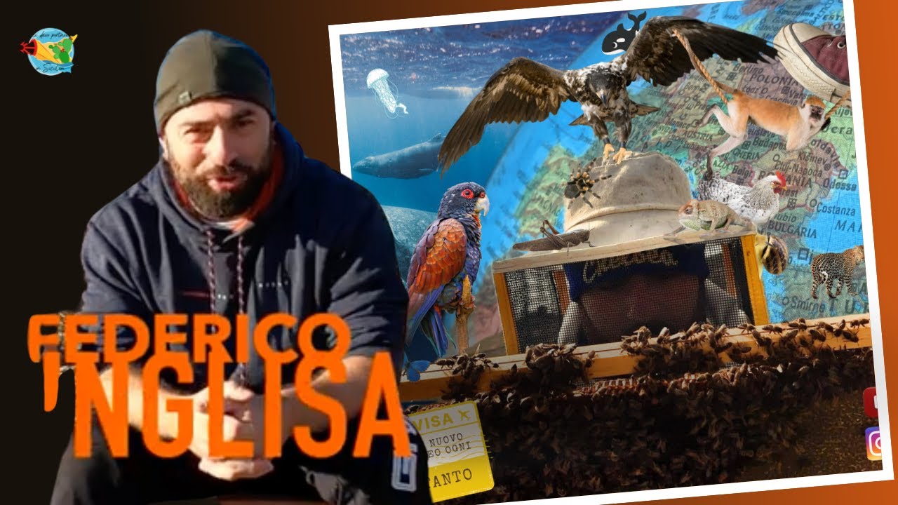 Scopri il Mondo Affascinante dell'Ape Nera Sicula con Federico