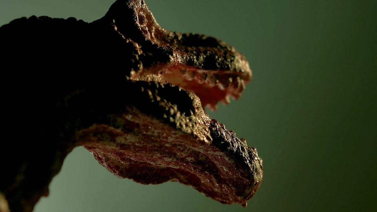 MONA SAN - T-REX (VISUALIZER)