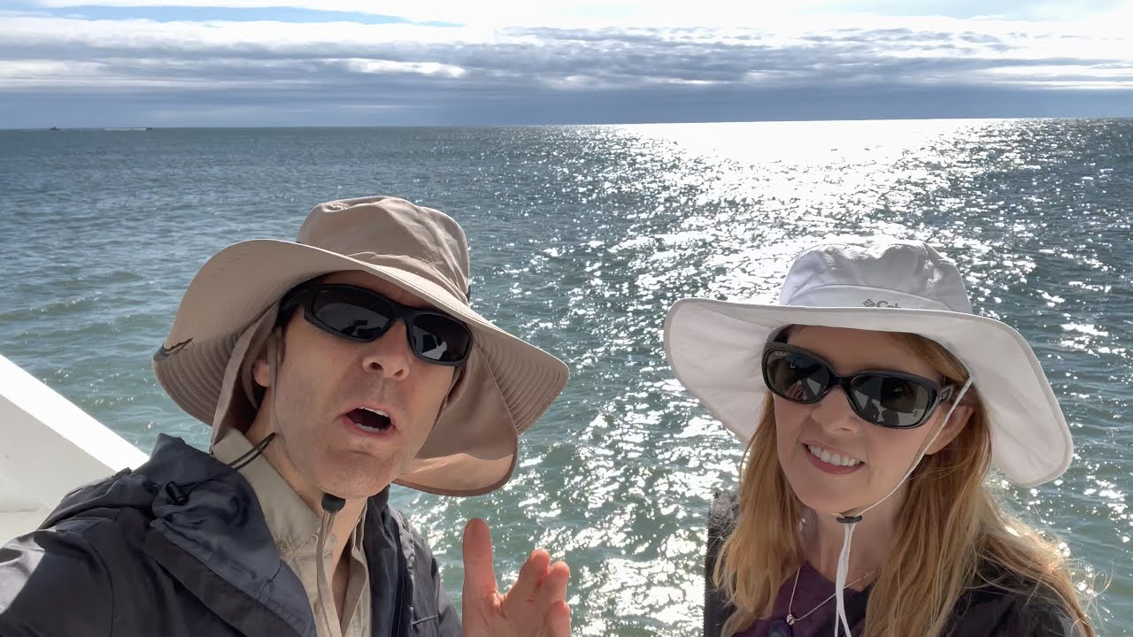 Cape May Whale Watcher | Dolphin Boat Tour in 4K | Jersey Shore