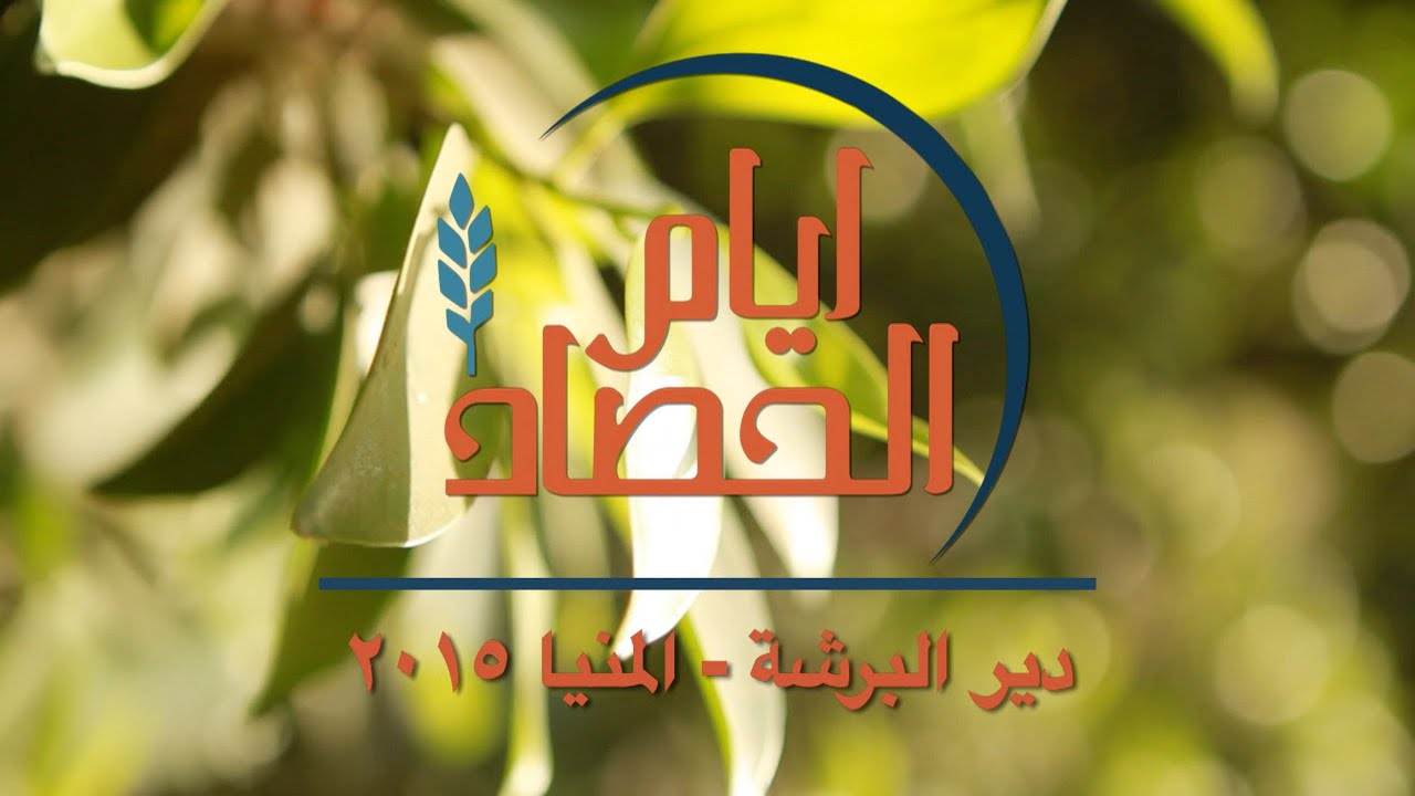 أيام الحصاد من دير البرشا - محافظة المنيا - 28 أغسطس 2015