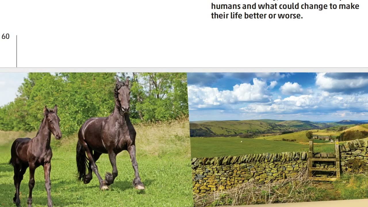 Literature Spot Black Beauty انجليزي متقدم صفحة 60, 61