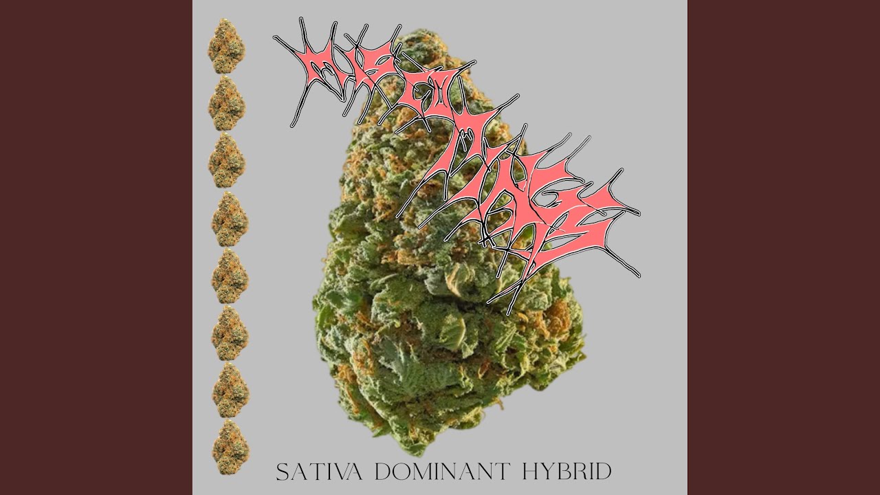 SATIVA DOMINAT HYBRID