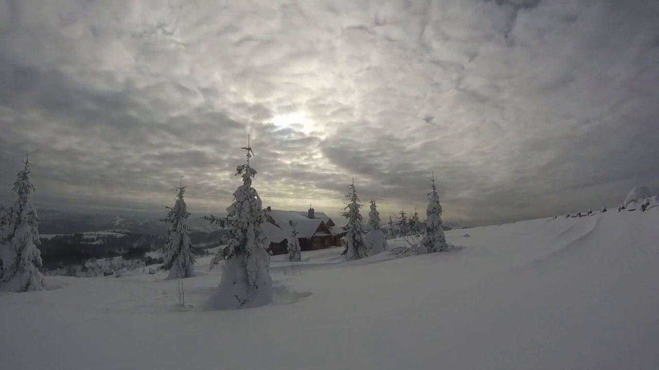 Backcountry - Tyniok