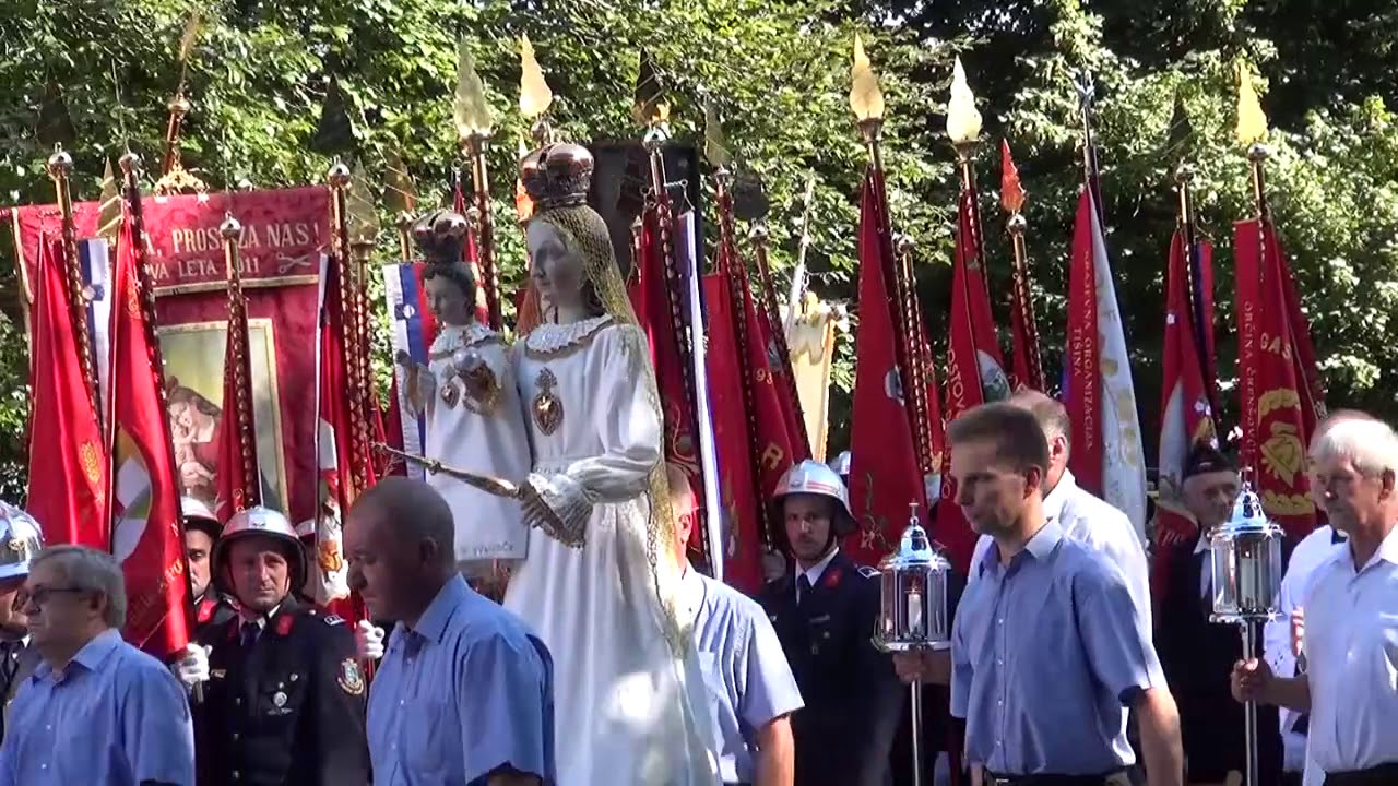 Pro&scaron;ecija