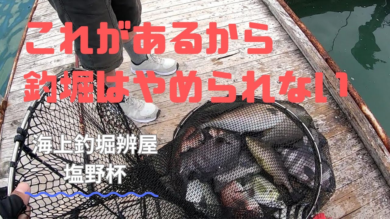 釣り座運SSRを引いた結果！海上釣堀辨屋【塩野杯】