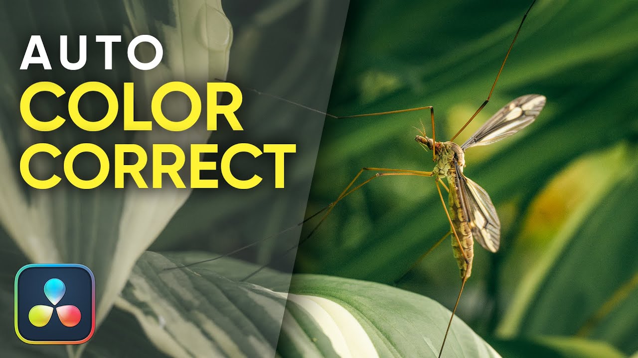 Auto Color Correct in Davinci Resolve
