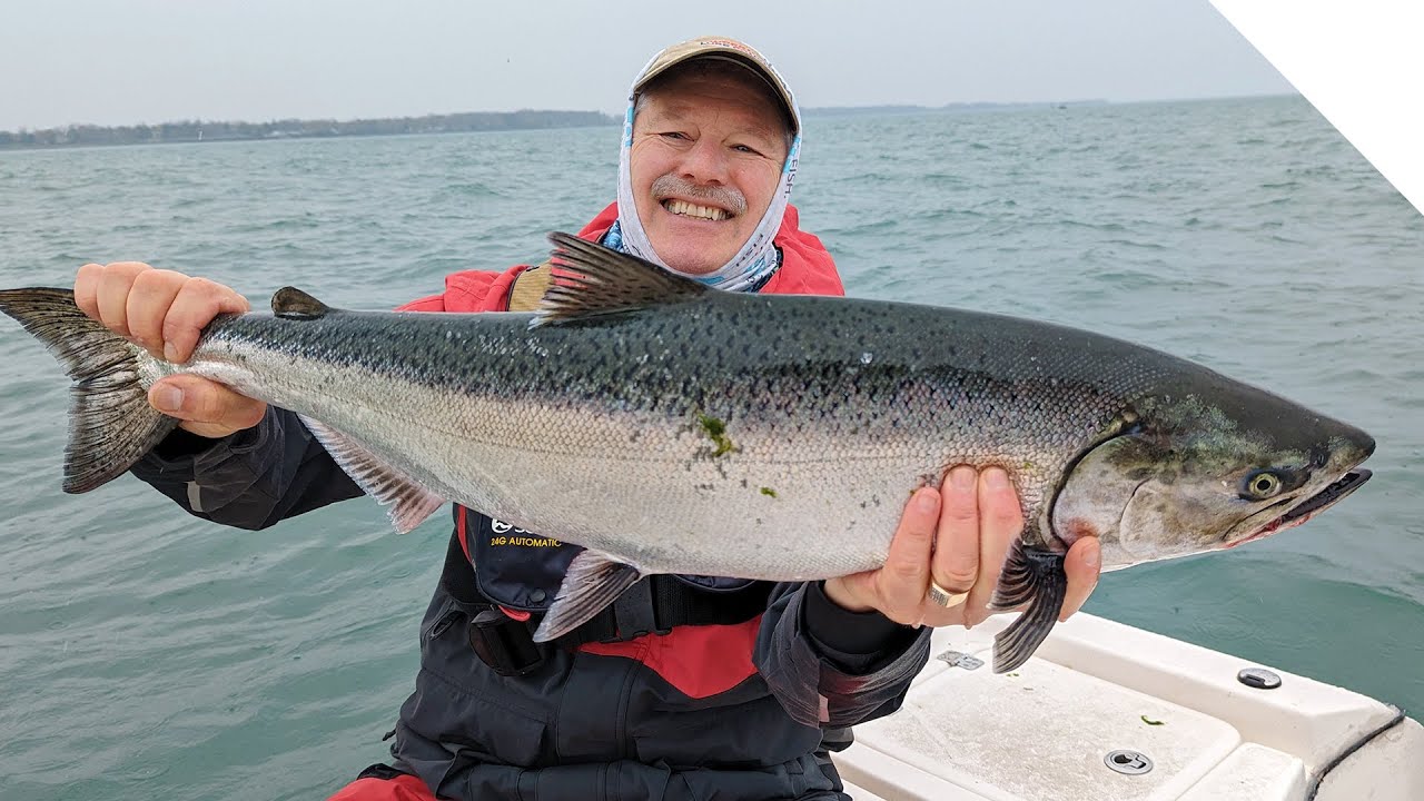 Salmon trolling - flat lining American Smelt deep diving crank baits