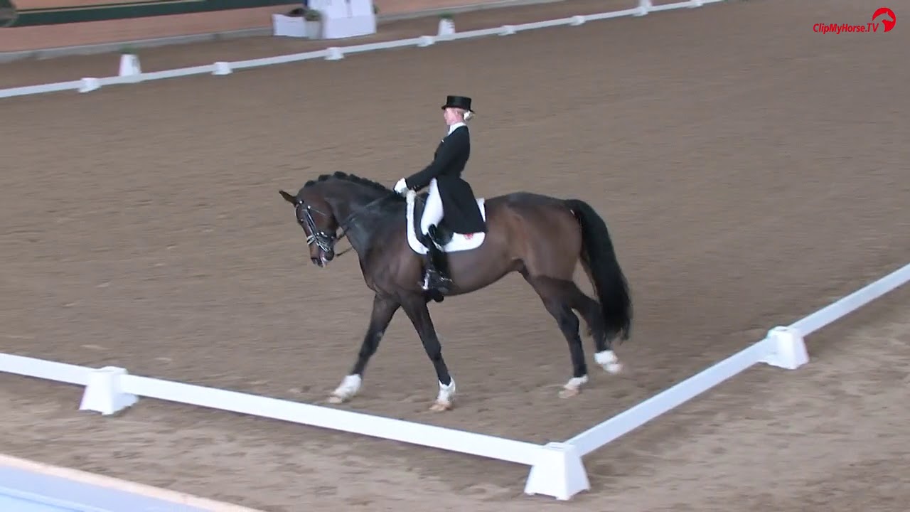 Racino Dressage Classics | Jessica von Bredow-Werndl | Ferdinand BB  | Intermediare A