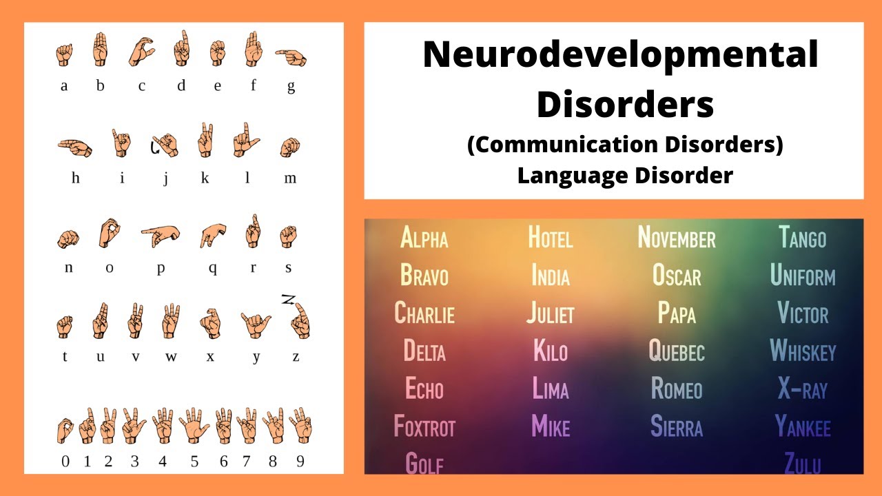 Language Disorder