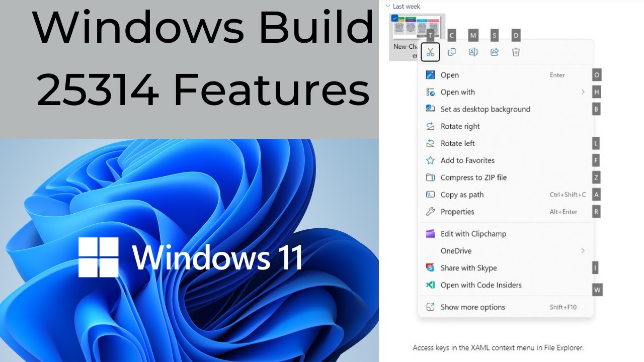 The New Build 25314 Features-Canary Channel