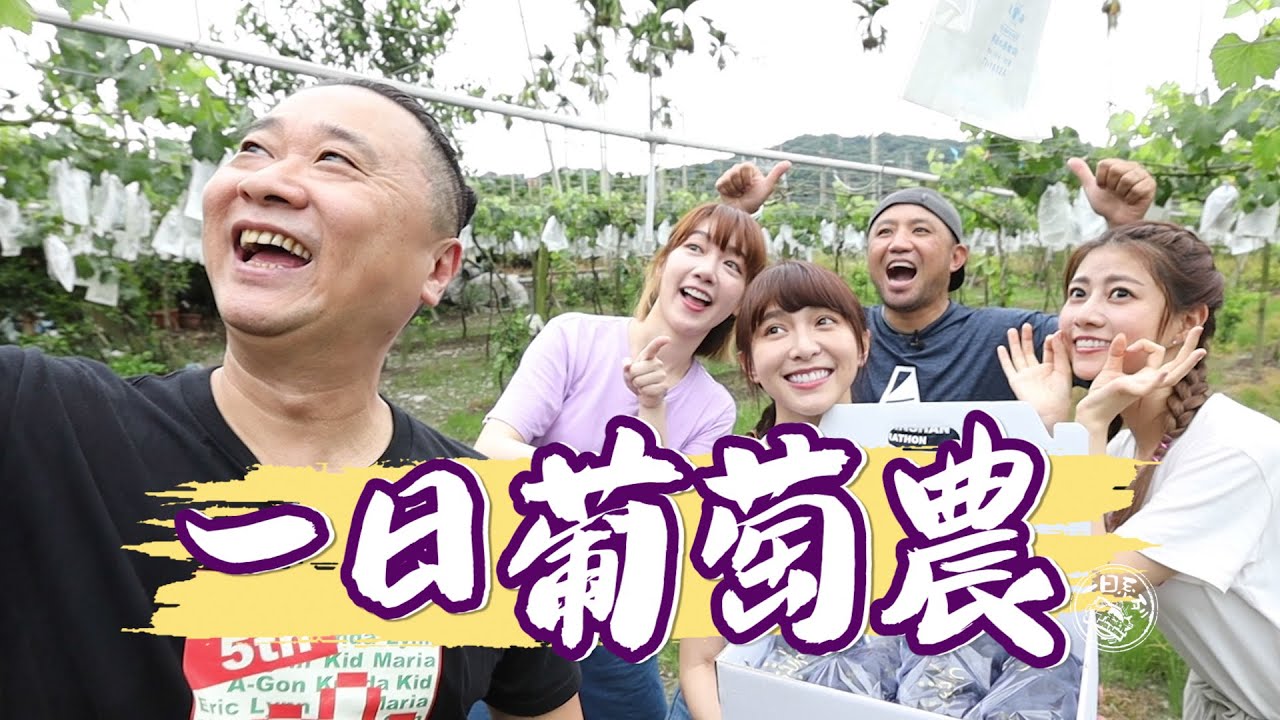 《一日系列第一百三十九集》首次一季系列誕生！邰邰帶上溫妮、泱泱、阿部瑪利亞，讓你知道葡萄怎麼過一生！-一日葡萄果農