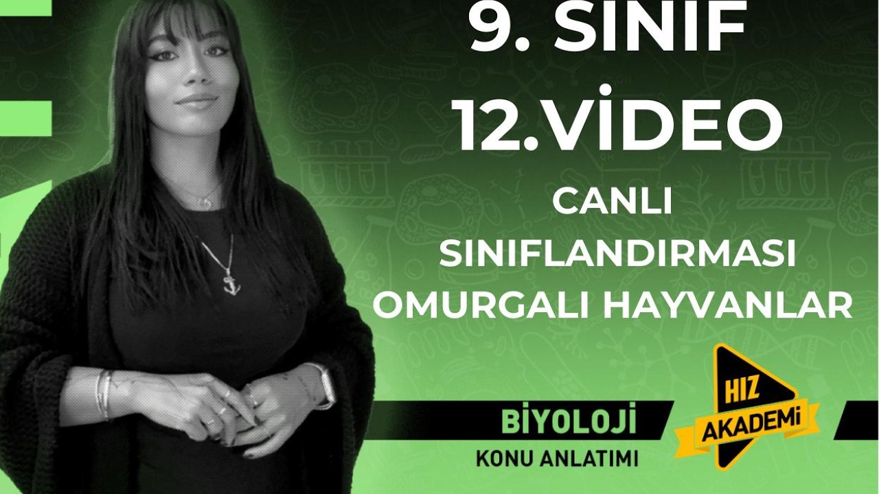 9 SINIF MAARİF MODEL CANLI SINIFLANDIRILMASI OMURGALI HAYVANLAR