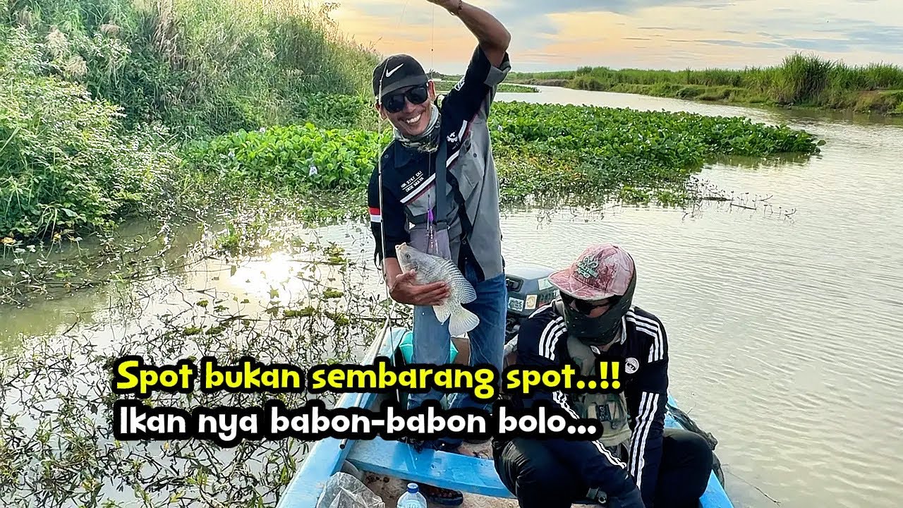 Ikannya babon-babon di spot ini