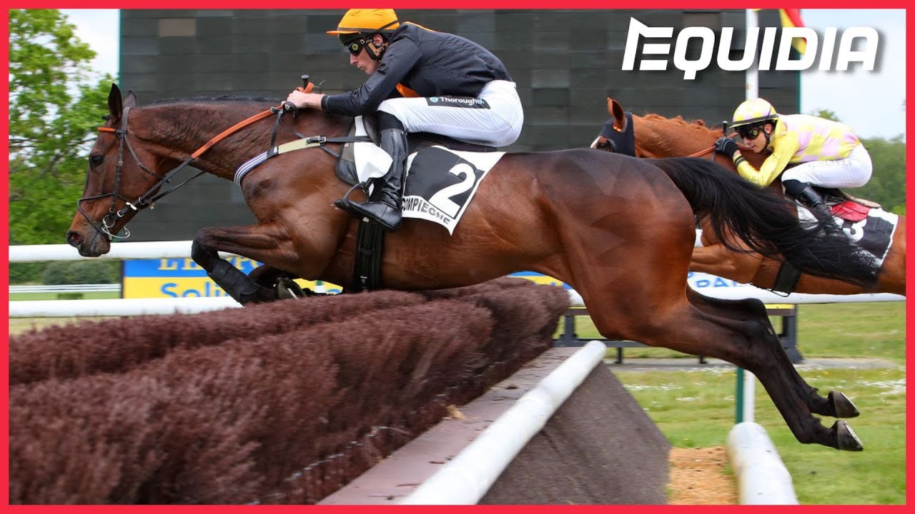 GRAND STEEPLE-CHASE DE COMPIEGNE | Gran Diose en patron | Compiègne | Groupe 2