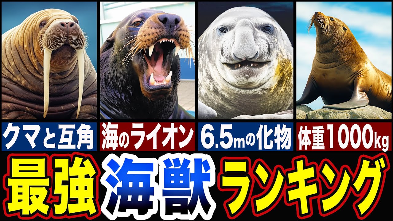 【驚愕】1位がヤバすぎるww最強の海獣ランキングTOP5【ゆっくり解説】