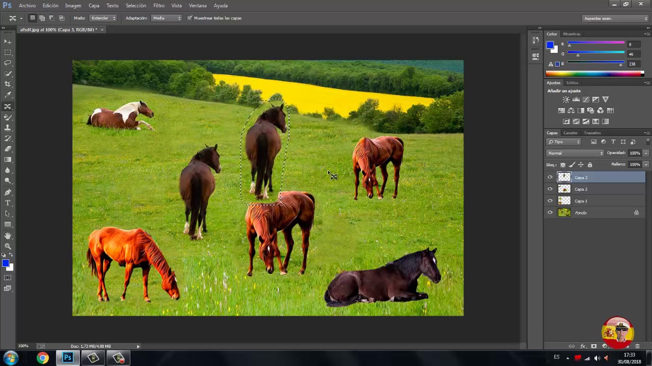 Aprende a MOVER,DUPLICAR y QUITAR Imágenes de una Fotografía