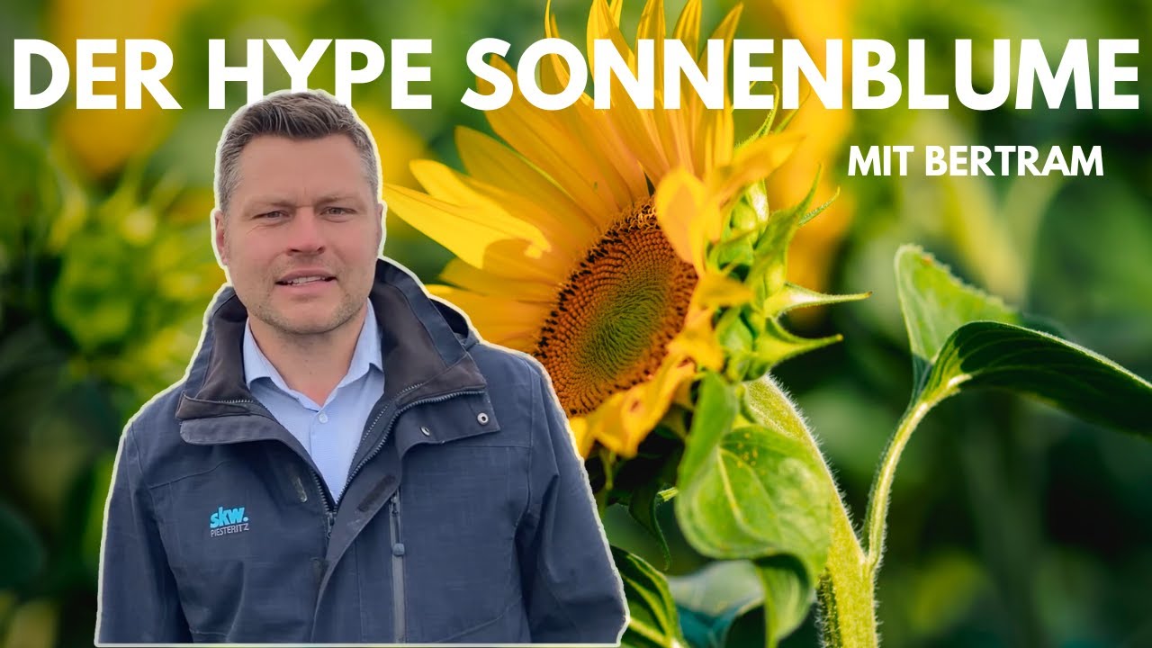 Von Experten für Profis –  Sonnenblumen 2022 – ein neuer Hype in der Landwirtschaft?