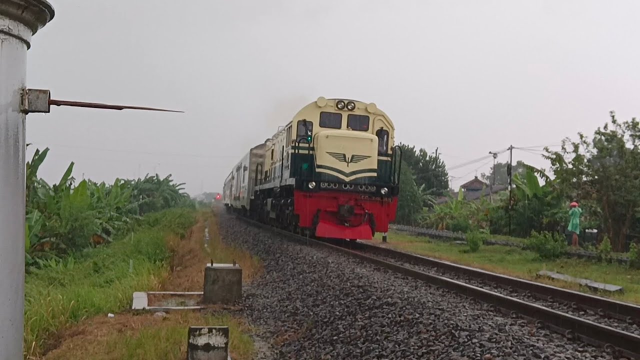 Masih hunting di jpl 468 Karangkemiri,Maos, Cilacap