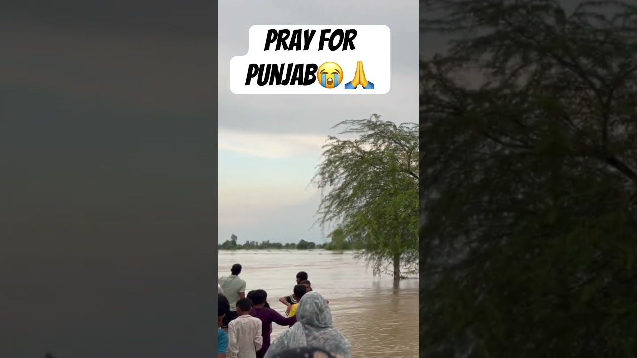 Tere rang niyare😭🙏 #prayforpunjab #youtubeshorts #trendingshorts #waterflood #punjabnews #viral