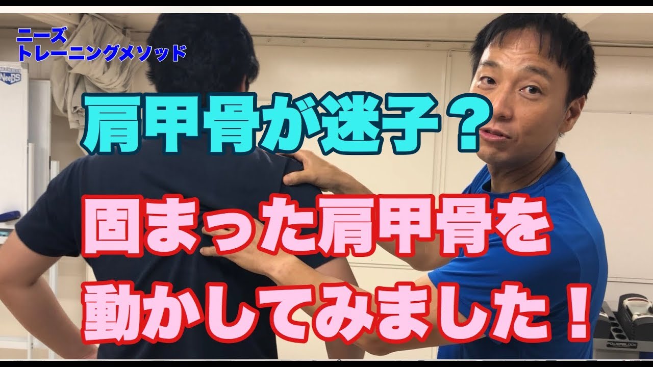 【肩甲骨】動かしてみた。肩甲骨を動かす簡単な体操