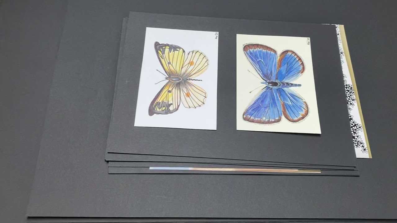 Meine Kunstmappe f&uuml;r bildende Kunst wurde abgelehnt !!!