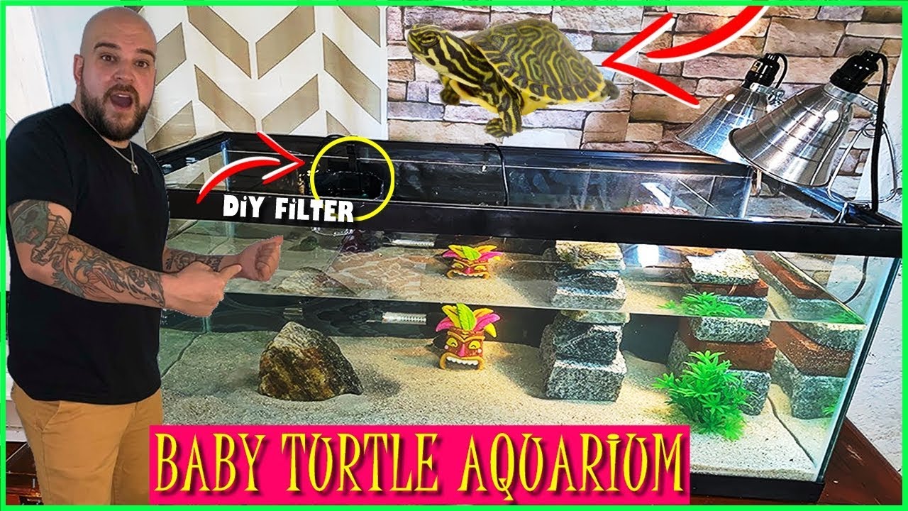BABY TURTLE AQUARIUM SETUP (diy FILTER & BASKING DOCK)