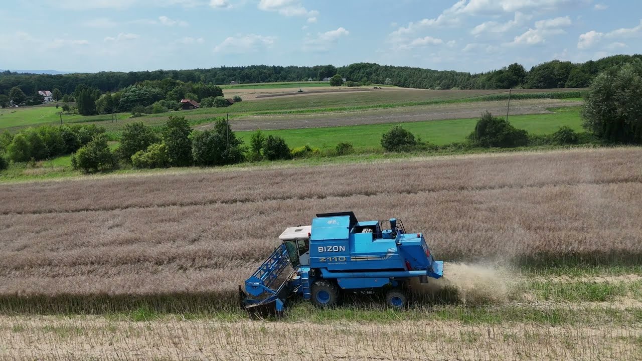 BIZON BS Z110 - rzepak 2024