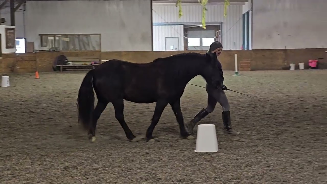 ELO Liberty Dressage Secondary Level Pattern 1 (at shoulder) 