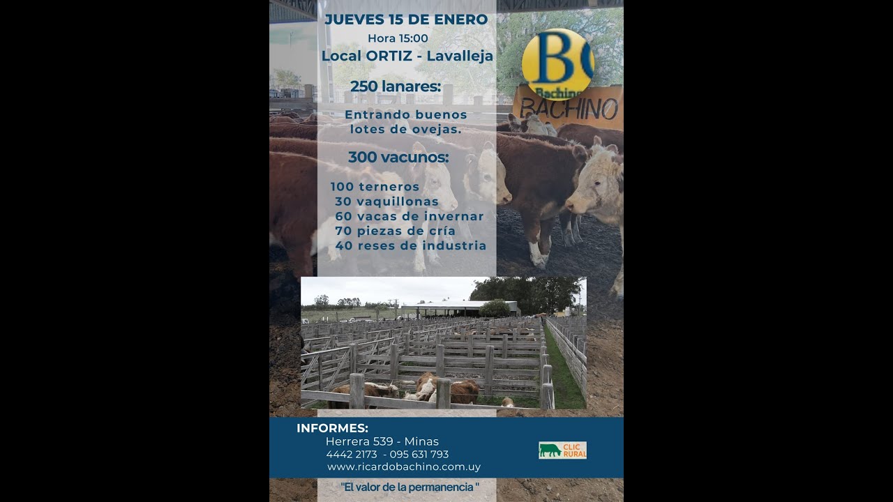 15/1/2026  - Local Ortiz - Feria mensual - Ricardo Bachino