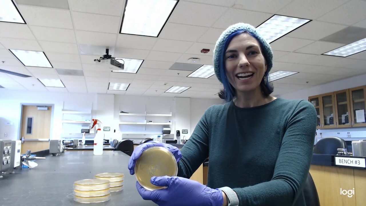 Microbiology Research Project: Mouthwashes against saliva