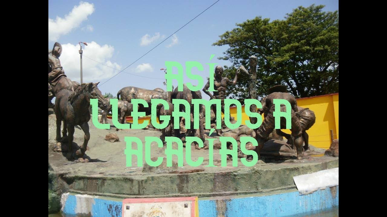 ESTO ES ACACÍAS META