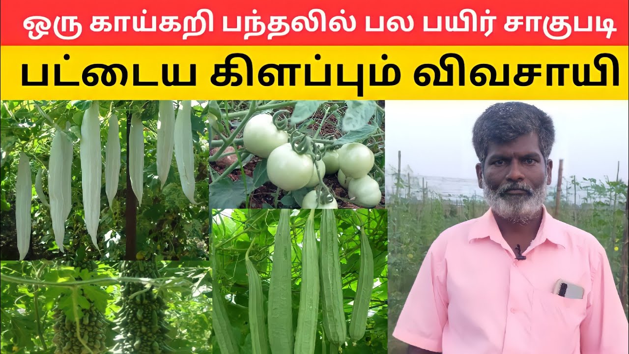 பல பயிர் சாகுபடி பட்டையை கிளப்பும் இயற்கை விவசாயி