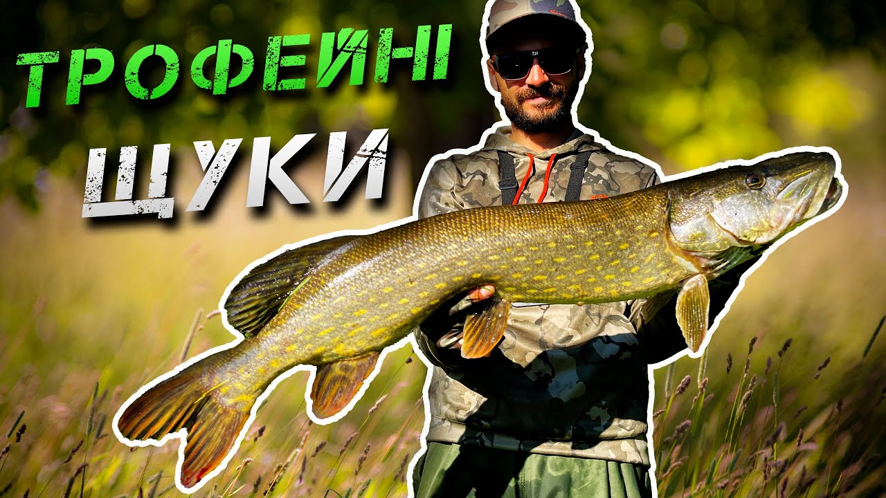 ⚠️ОЦЕ ТАК! ТРОФЕЙНІ ЩУКИ-КРОКОДИЛИ ДЕСНИ! Ловля на Попер⚠️
