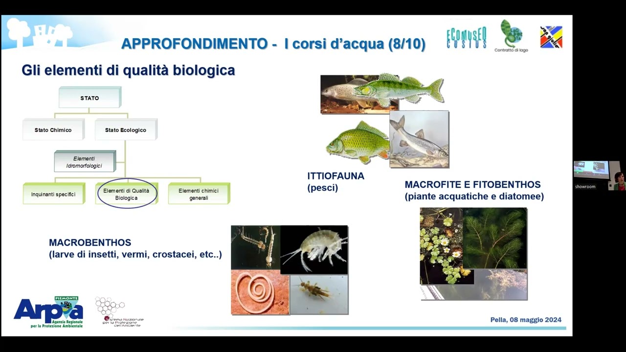 Attività di vigilanza e prevenzione ambientale Modulo 2 - Francesca Vietti, ARPA Piemonte