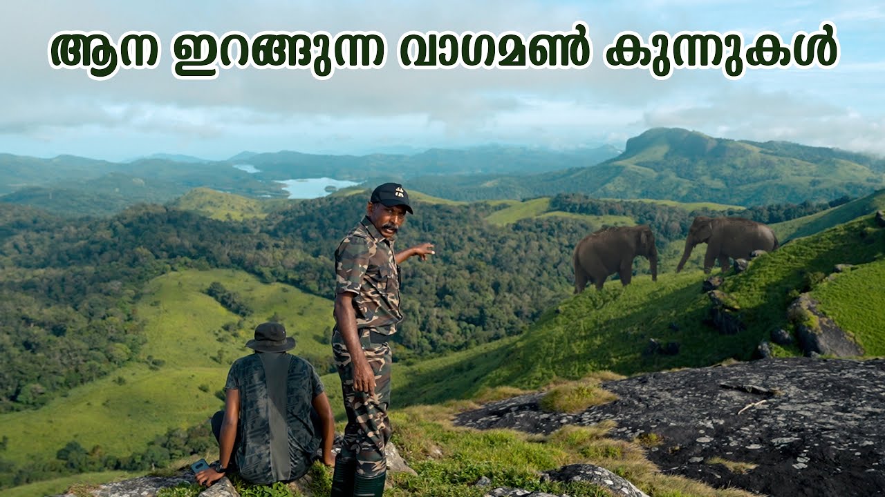 വാഗമണിൽ ഇങ്ങനെ ഒരു സ്ഥലം ഉള്ളത് അറിയാമോ ? ELEPHANTS ON VAGAMON MEDOWS !!!