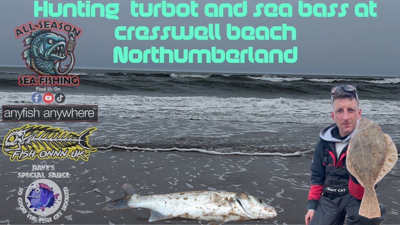 Hunting | turbot | and | sea bass | at cresswell