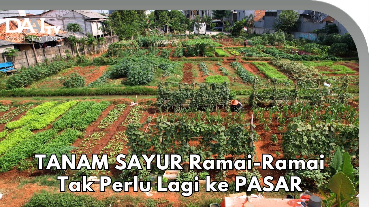 Gak Nyangka Ada Warga Kompak Berkebun!