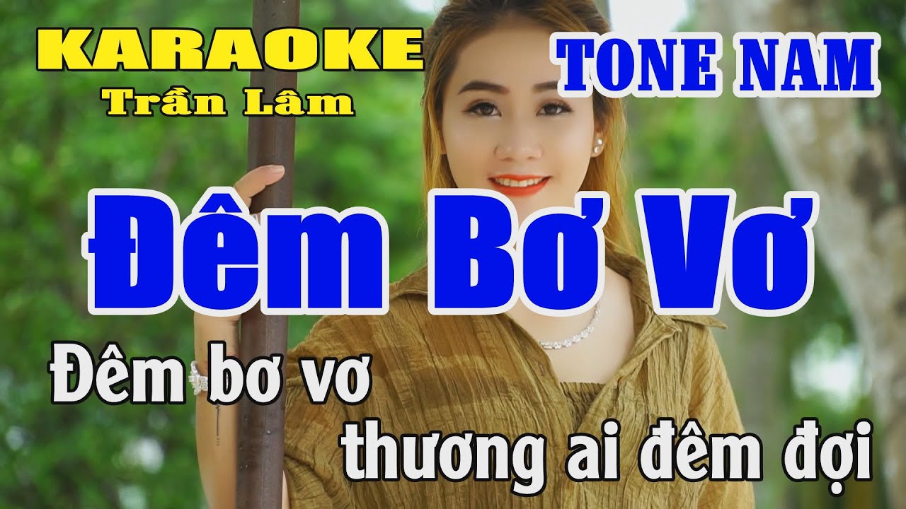 Karaoke Đêm Bơ Vơ Tone Nam ( Rê trưởng ) Beat Hay | Karaoke Trần Lâm