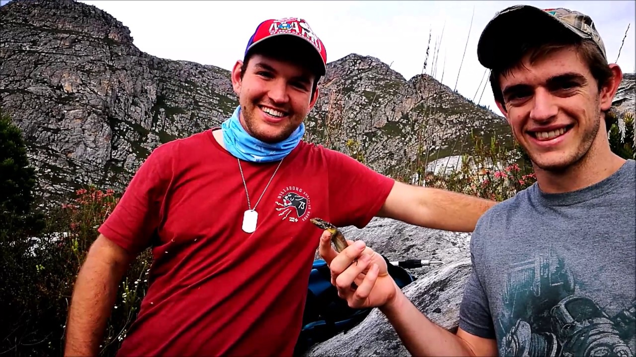 Herping the Western Cape: Part 1