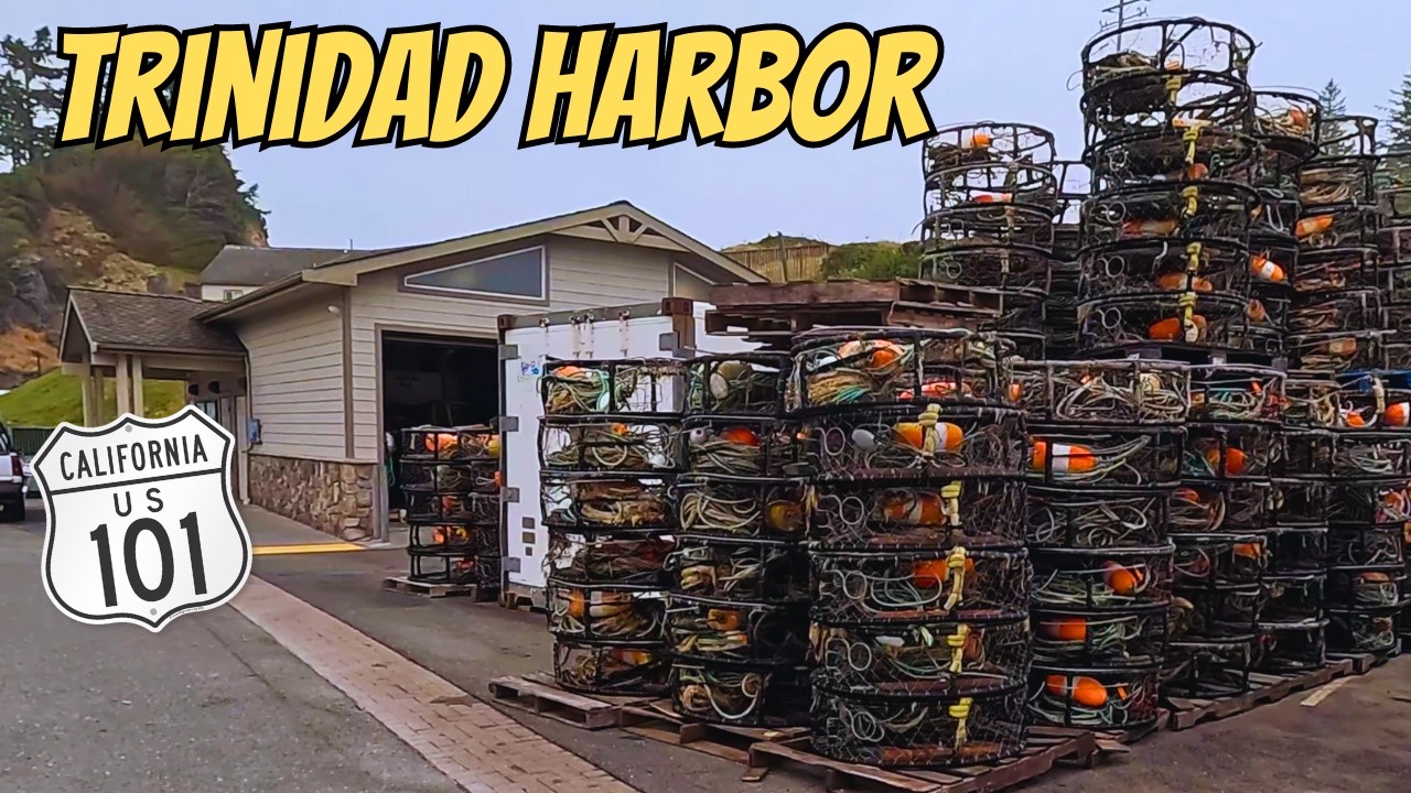 Trinidad, CA:( Ocean, Harbor & Redwoods) -  Pacific Coast Highway Adventure