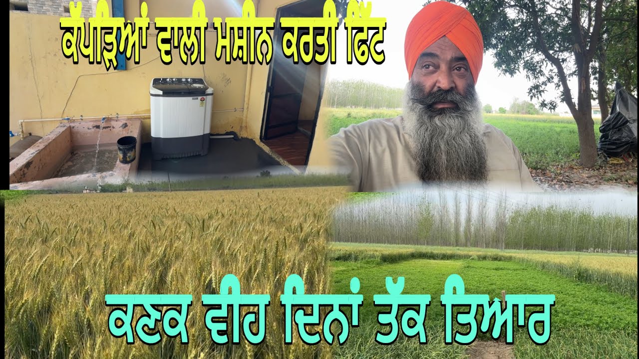 ਕੱਪੜਿਆਂ ਵਾਲੀ ਮਸ਼ੀਨ ਕਰਤੀ ਸਹੀ ਜਗ੍ਹਾ ਫਿੱਟ//ਕਣਕ ਵੀਹ ਦਿਨਾਂ ਵਿੱਚ ਜਾਉ ਪੱਕ@jagatmasad 