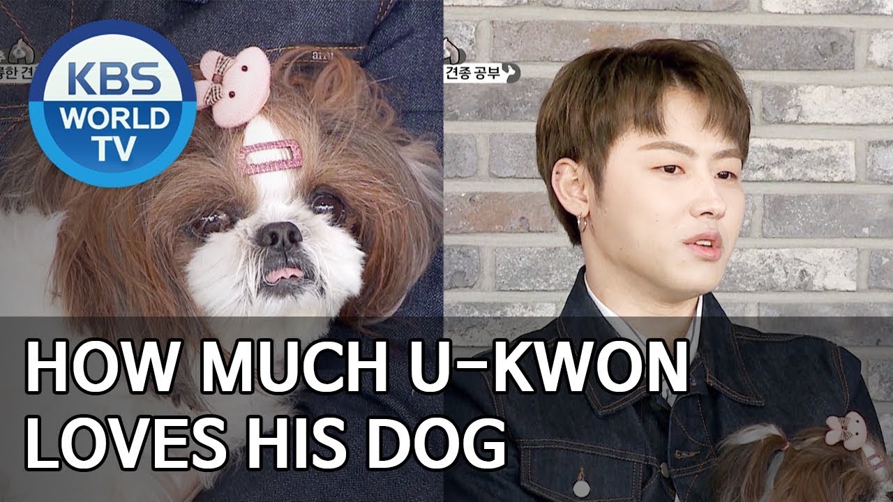 How much U-Kwon loves his dog [Dogs are incredible/ENG/2020.03.17]