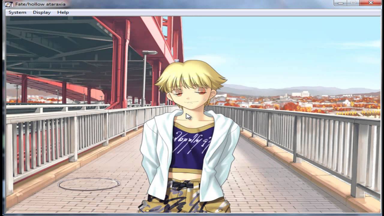 Fate Hollow Ataraxia Familiar Kid